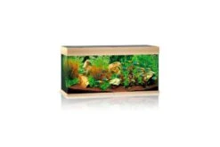 Juwel Rio Aquarium 180 LED, Helles Holz