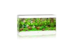 Juwel Rio Aquarium 240 LED, Weiß