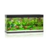 Juwel Rio Aquarium 240 LED, Schwarz -Heimtierbedarf Juwel Rio 240 AquariumJuwel black 0330 l