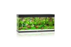 Juwel Rio Aquarium 240 LED, Schwarz