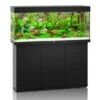 Juwel Rio 240 LED SBX Kombination, Schwarz -Heimtierbedarf Juwel Rio 240 black SBX Combi 03300 50123 l