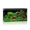 Juwel Aquarium Rio 350 LED, Schwarz 1 Juwel Aquarium Rio 350 LED, Schwarz -Heimtierbedarf Juwel Rio 350 black 07300 l