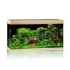 Juwel Aquarium Rio 350 LED, Helles Holz 2 Juwel Aquarium Rio 350 LED, Helles Holz -Heimtierbedarf Juwel Rio 350 light wood 07800 l