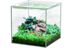 Aquatlantis Kubus Leer