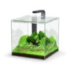 Aquatlantis Kubus 22 L LED Aquarienset -Heimtierbedarf Kubus 22 L LED Aquarienset