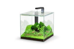 Aquatlantis Kubus 22 L LED Aquarienset