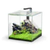 Aquatlantis Kubus 54 L LED Aquarienset 1 Aquatlantis Kubus 54 L LED Aquarienset -Heimtierbedarf Kubus 54 L LED Aquarienset