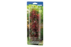 Hobby Ludwigia, 60 Cm