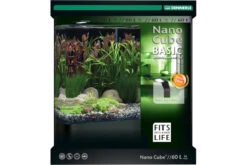 Dennerle Nano Cube Basic 2022 Version