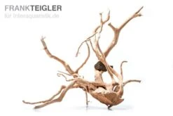 Stoffels Spiderwood Groß, Ca. 40-50 Cm