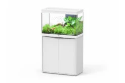 Aquatlantis Splendid 145 Weiß Kombi, 80x40 Cm