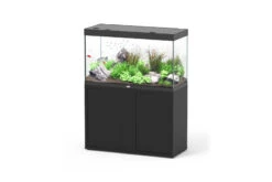 Aquatlantis Sublime 335 Schwarz Kombi 40mm, 120x50 Cm