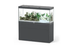 Aquatlantis Sublime 420 Anthrazit Kombi 40mm, 150x50 Cm