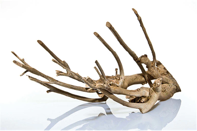 Aquadeco Talawa Holz, 50-70 Cm 5 Aquadeco Talawa Holz, 50-70 Cm – Bild 3