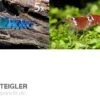 TiBee Starterpack: 5 X Blaue Tigergarnele + 5 X Crystal Red Garnele -Heimtierbedarf TiBee Starterpack 5 x Blaue Tigergarnele 5 x Crysta
