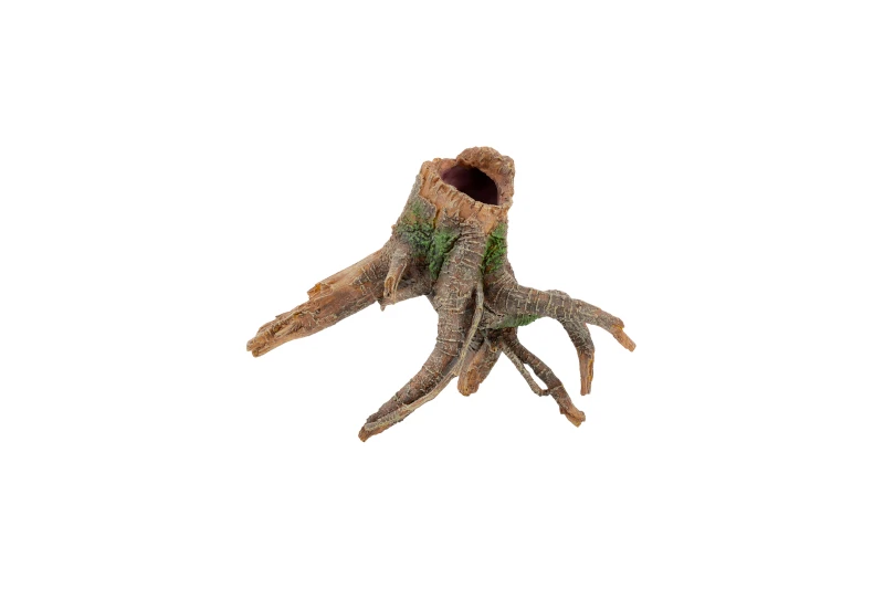 Aquatlantis Wurzel 3 Aquatlantis Wurzel