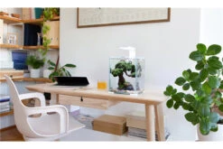 Aquael Shrimp Set Day&Night, 20 Liter Weiss 10 Aquael Shrimp Set Day&Night, 20 Liter Weiss -Heimtierbedarf shrimp set day night 3